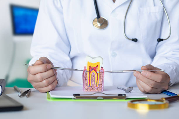 Best Emergency Broken Tooth Repair in La Fayette, AL